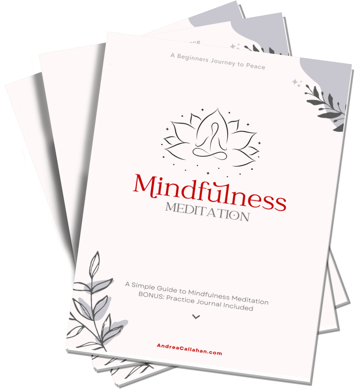 Mindfulness Meditation A Simple Guide to Mindful Meditation Andrea Callahan