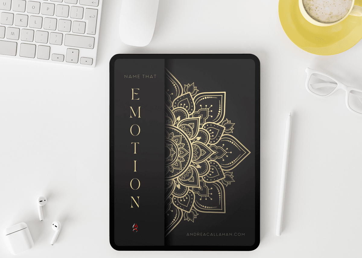 Name that Emotion Journal by Andrea Callahan