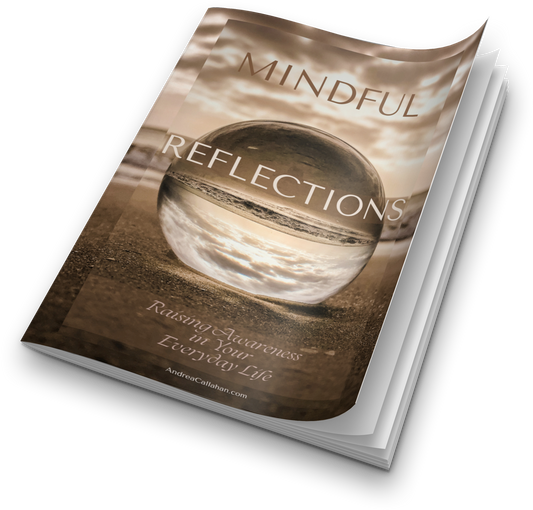 Mindful Reflections Raising Awareness in Your Everyday Life journal by Andrea Callahan 
